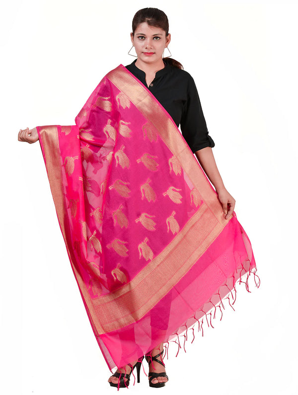 Silkfab Banarasi